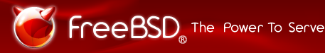 在FreeBSD中通过pkg安装软件时遇到问题