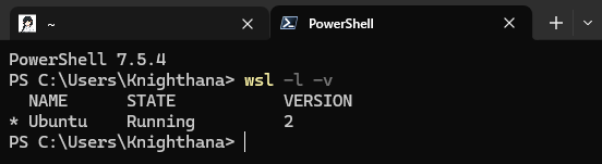ThereisntDebianinWSLManager