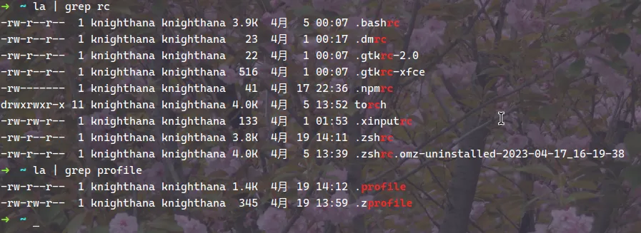 家目录下的rc和profile文件